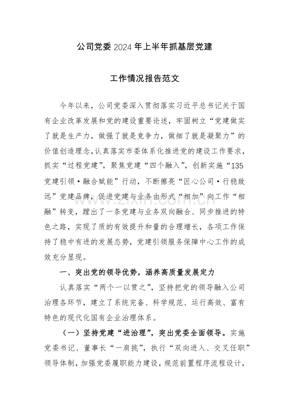 公司党委2024年上半年抓基层党建工作情况报告范文.docx_第1页