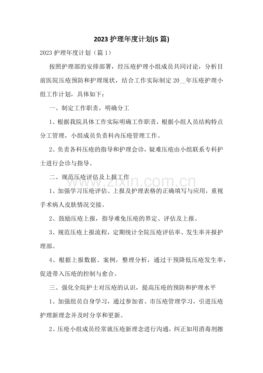 2023护理年度计划(5篇).docx_第1页