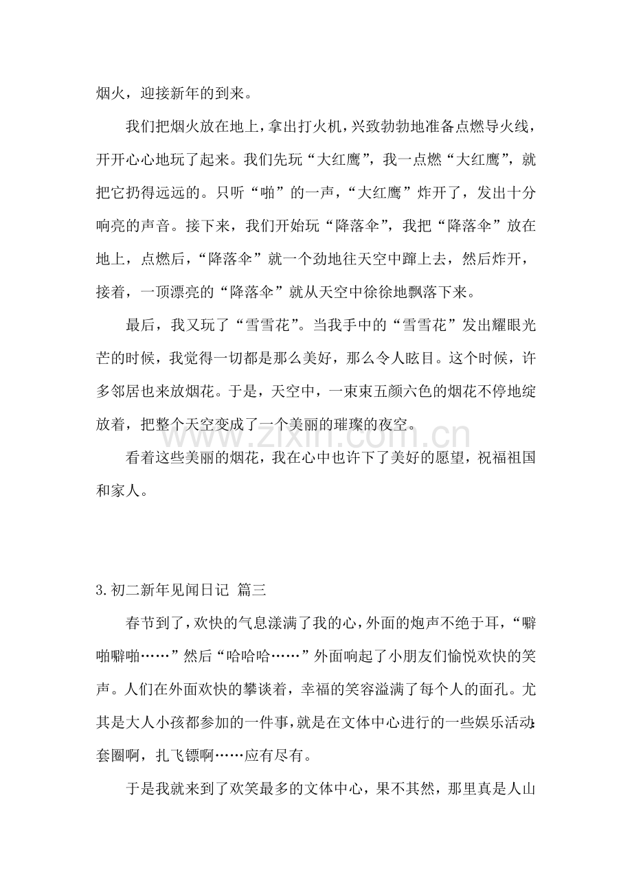 初二新年见闻日记五篇.docx_第2页