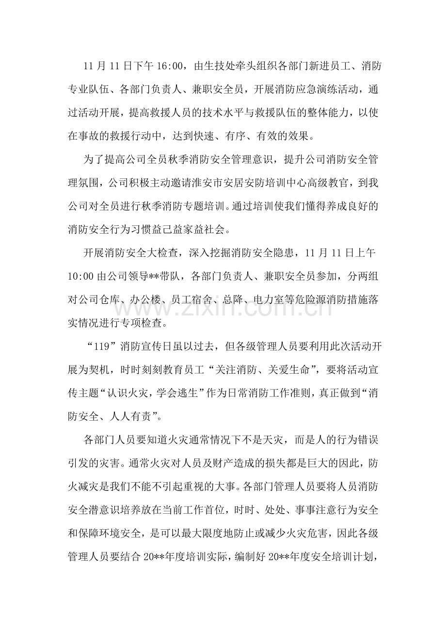 公司消防日活动总结.doc_第3页