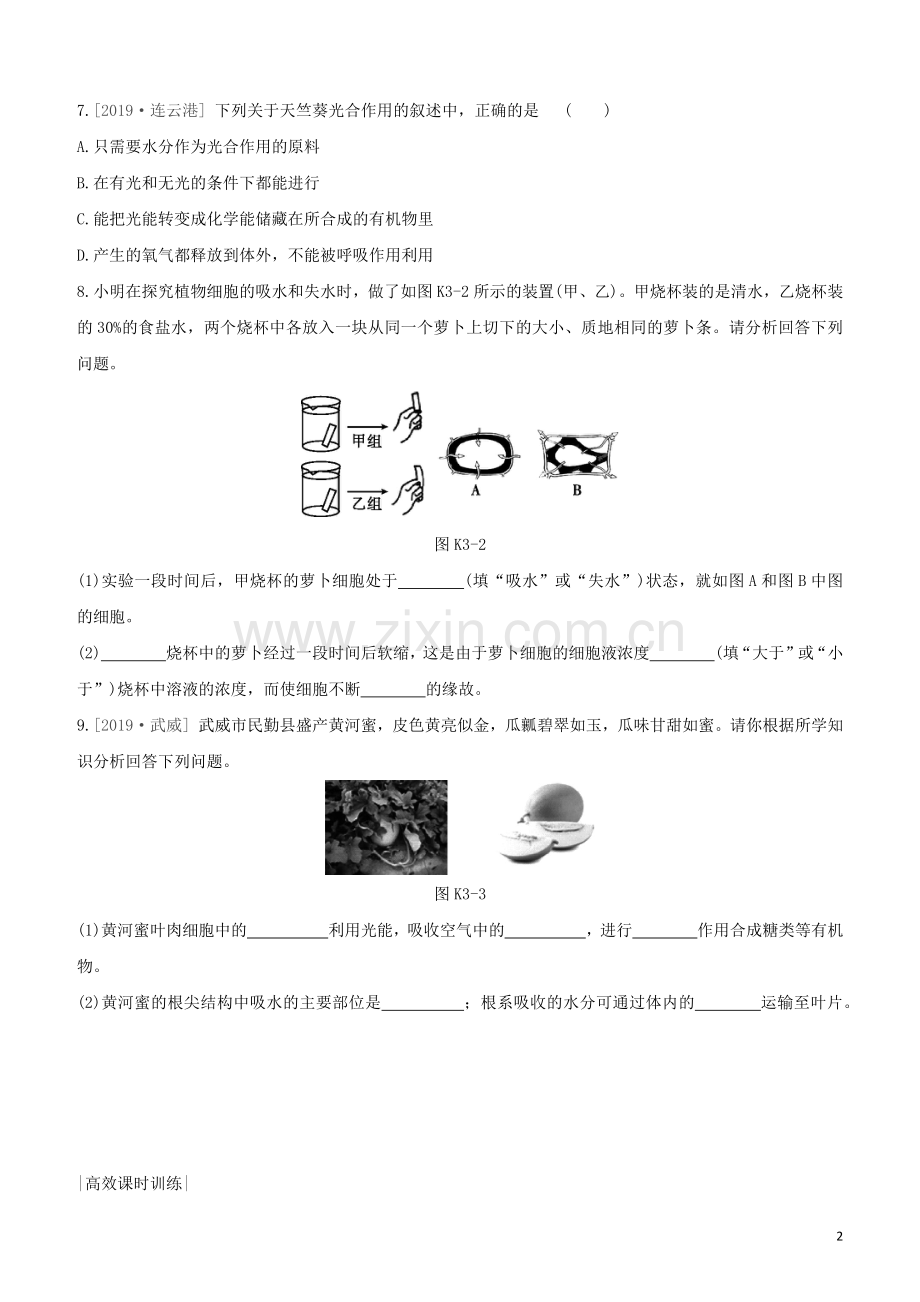 徐州专版2020中考生物复习方案第三单元生物从环境中获取物质和能量课时训练03绿色植物是有机物的生产者试题.docx_第2页