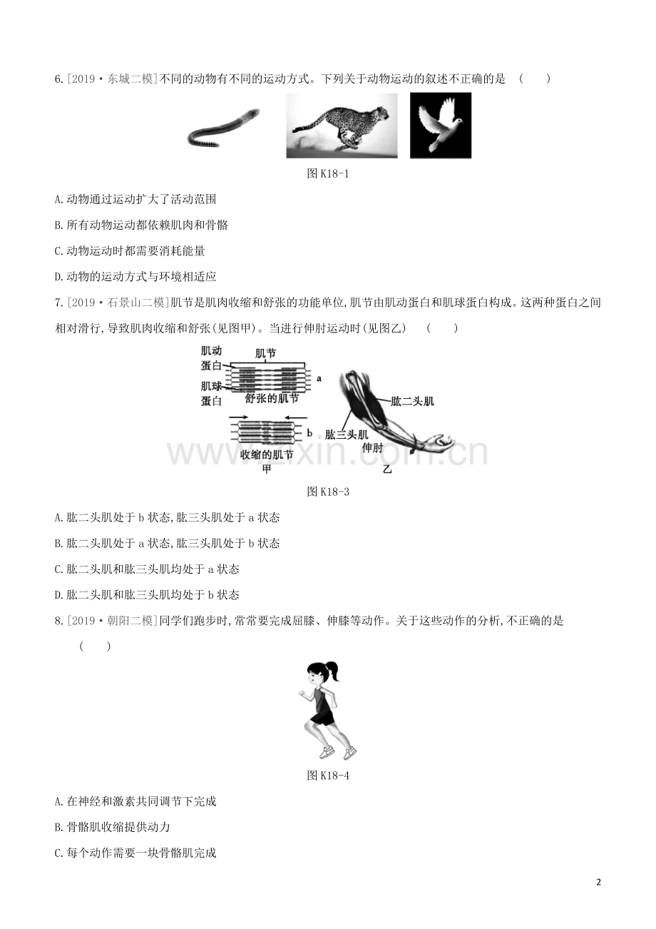 北京专版2020中考生物复习方案主题六动物的运动和行为课时训练18动物的运动和行为试题.docx_第2页