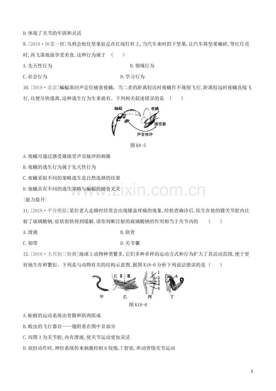 北京专版2020中考生物复习方案主题六动物的运动和行为课时训练18动物的运动和行为试题.docx_第3页