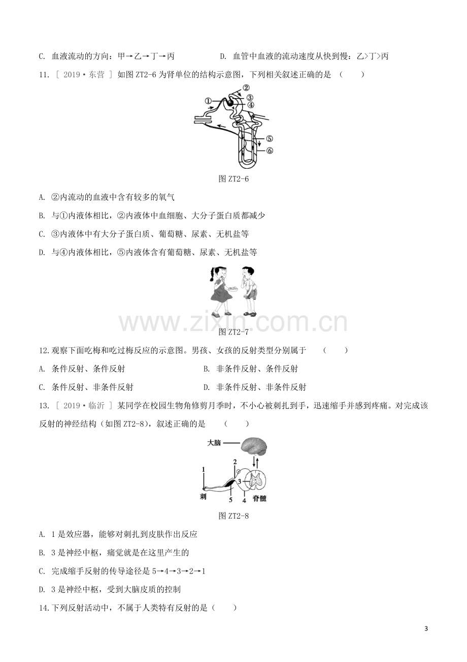 徐州专版2020中考生物复习方案专题提升02人体的生理活动试题.docx_第3页