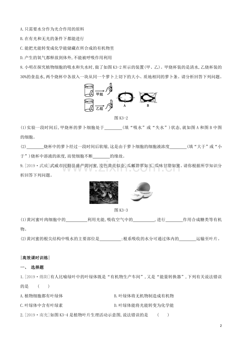 连云港专版2020中考生物复习方案第3单元生物从环境中获取物质和能量课时训练03绿色植物是有机物的生产者试题.docx_第2页