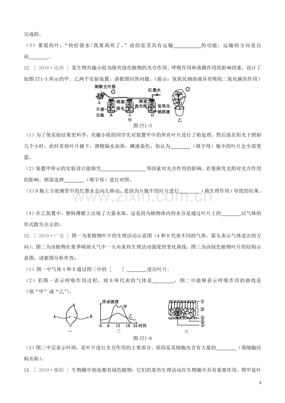 徐州专版2020中考生物复习方案专题提升01植物的生理活动试题.docx_第3页