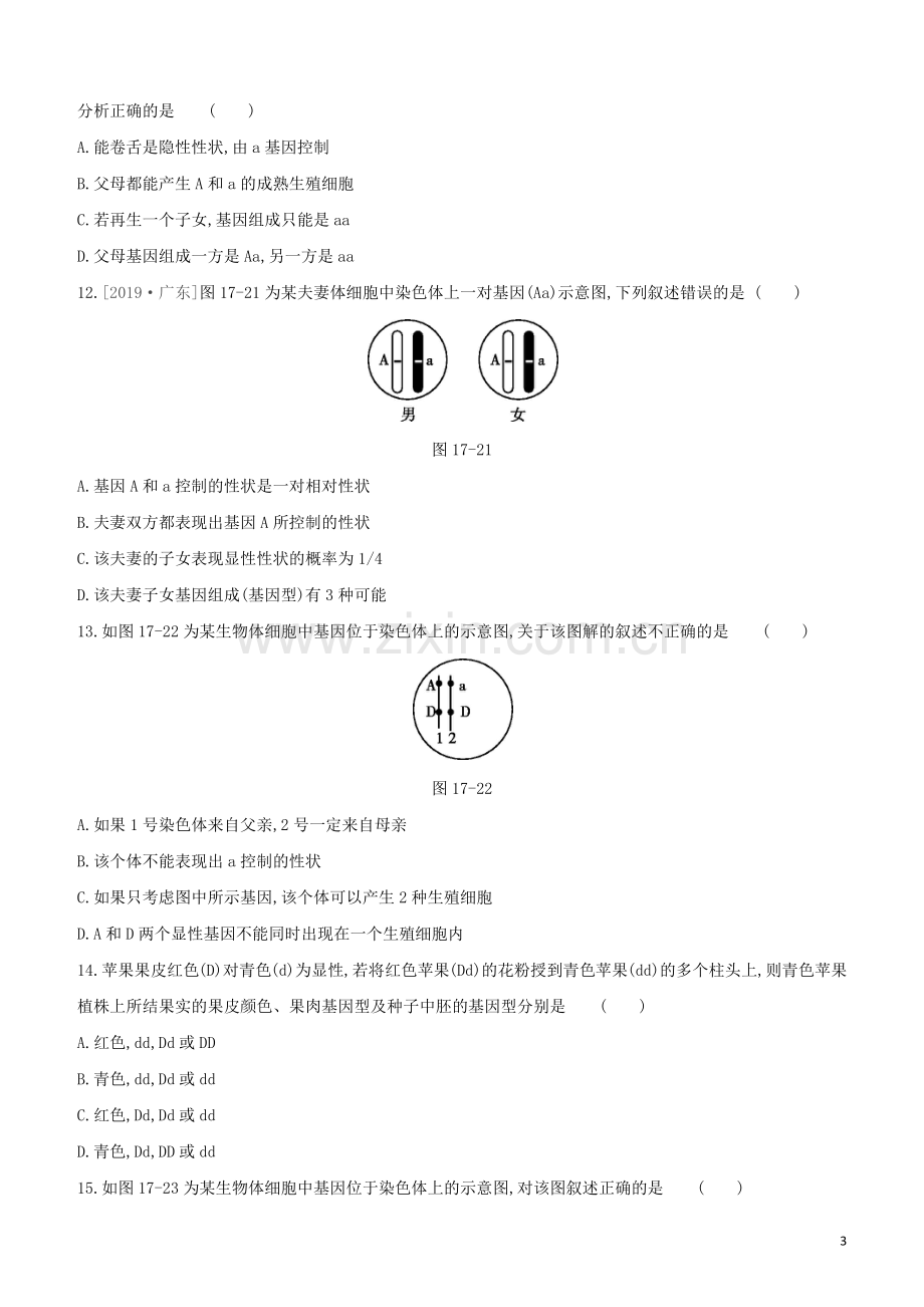 鄂尔多斯专版2020中考生物复习方案第六单元生命的延续和发展第17课时生物的遗传和变异试题.docx_第3页