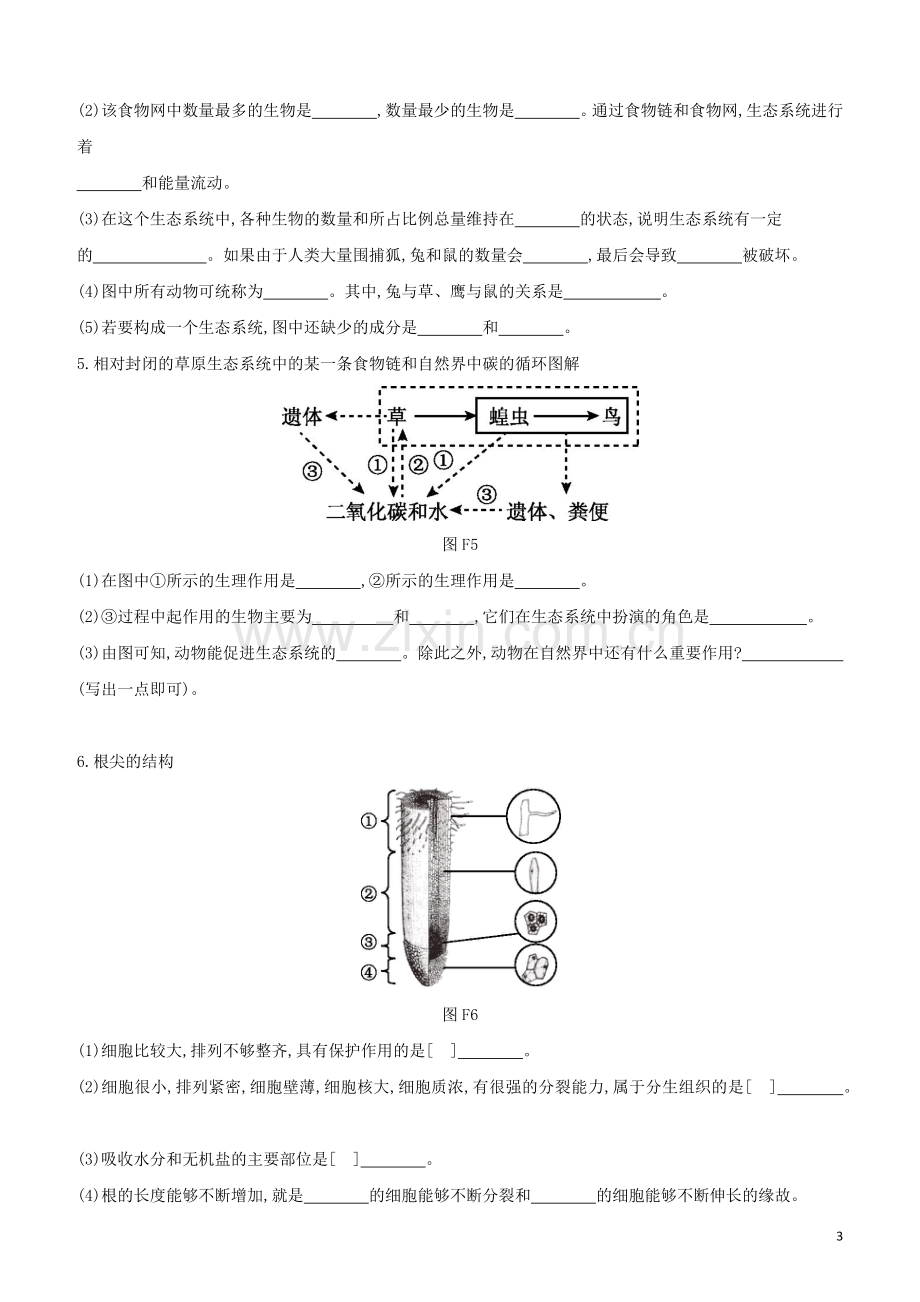 北京专版2020中考生物复习方案附录高频考点识图题汇总试题.docx_第3页