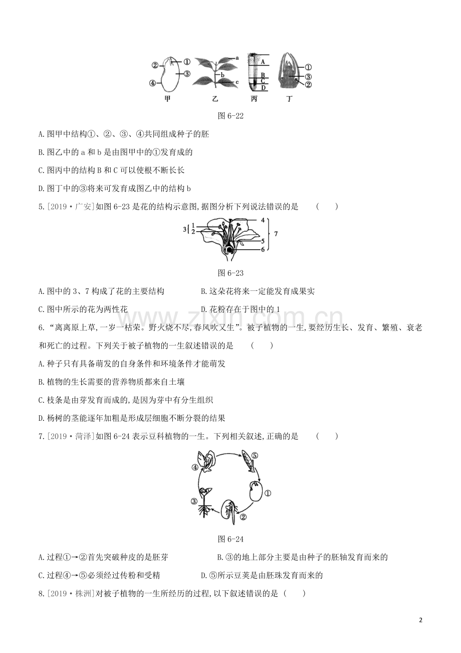 鄂尔多斯专版2020中考生物复习方案第三单元生物圈中的绿色植物第06课时被子植物的一生试题.docx_第2页