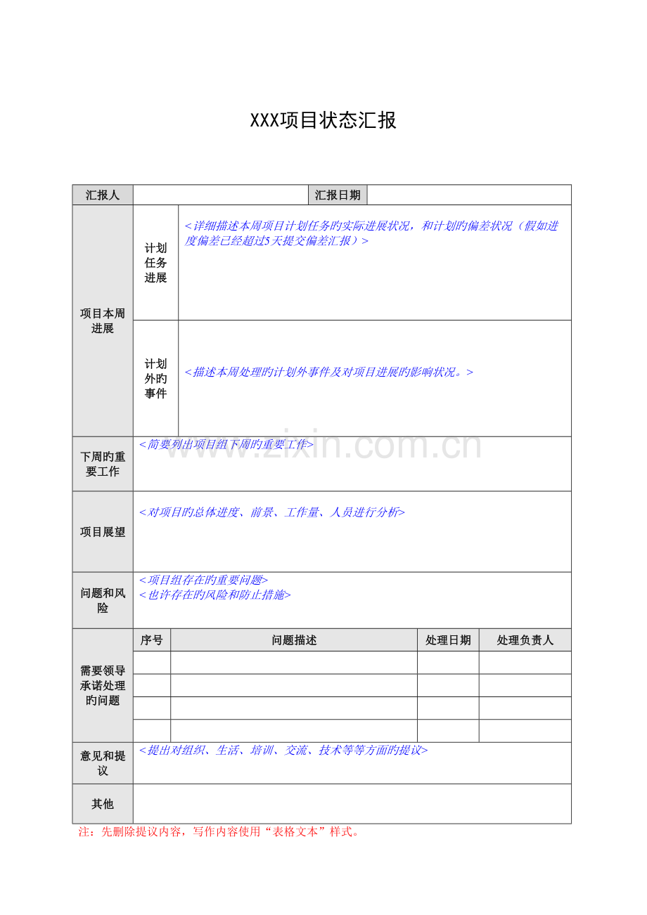 项目进展报告模板PM.doc_第1页