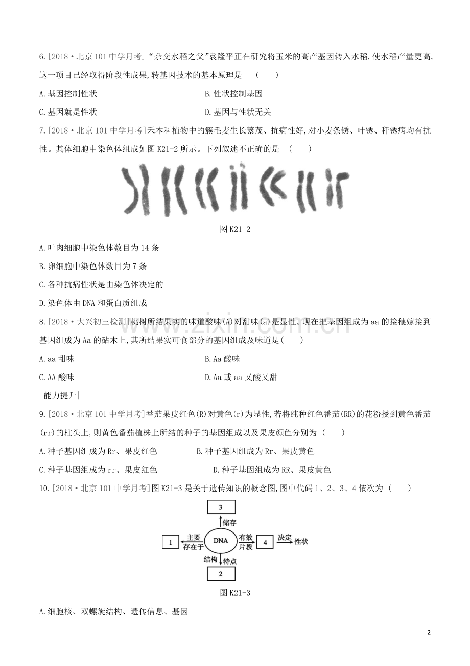 北京专版2020中考生物复习方案主题七生物的生殖发育和遗传变异课时训练21生物的遗传和变异一试题.docx_第2页