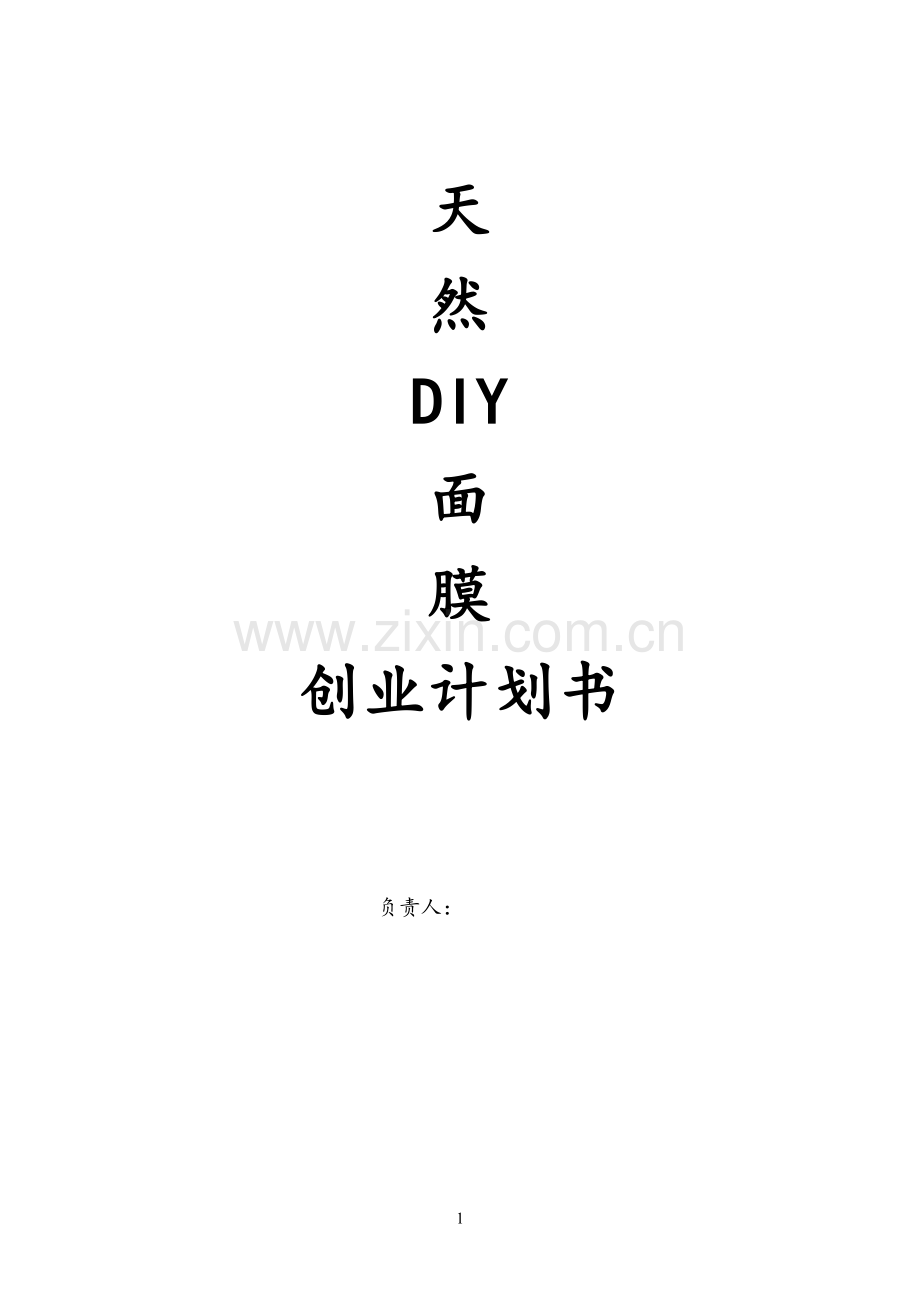 天然DIY面膜创业计划书.doc_第1页