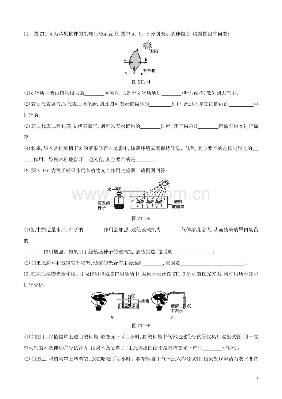 连云港专版2020中考生物复习方案专题提升01植物的生理活动试题.docx_第3页