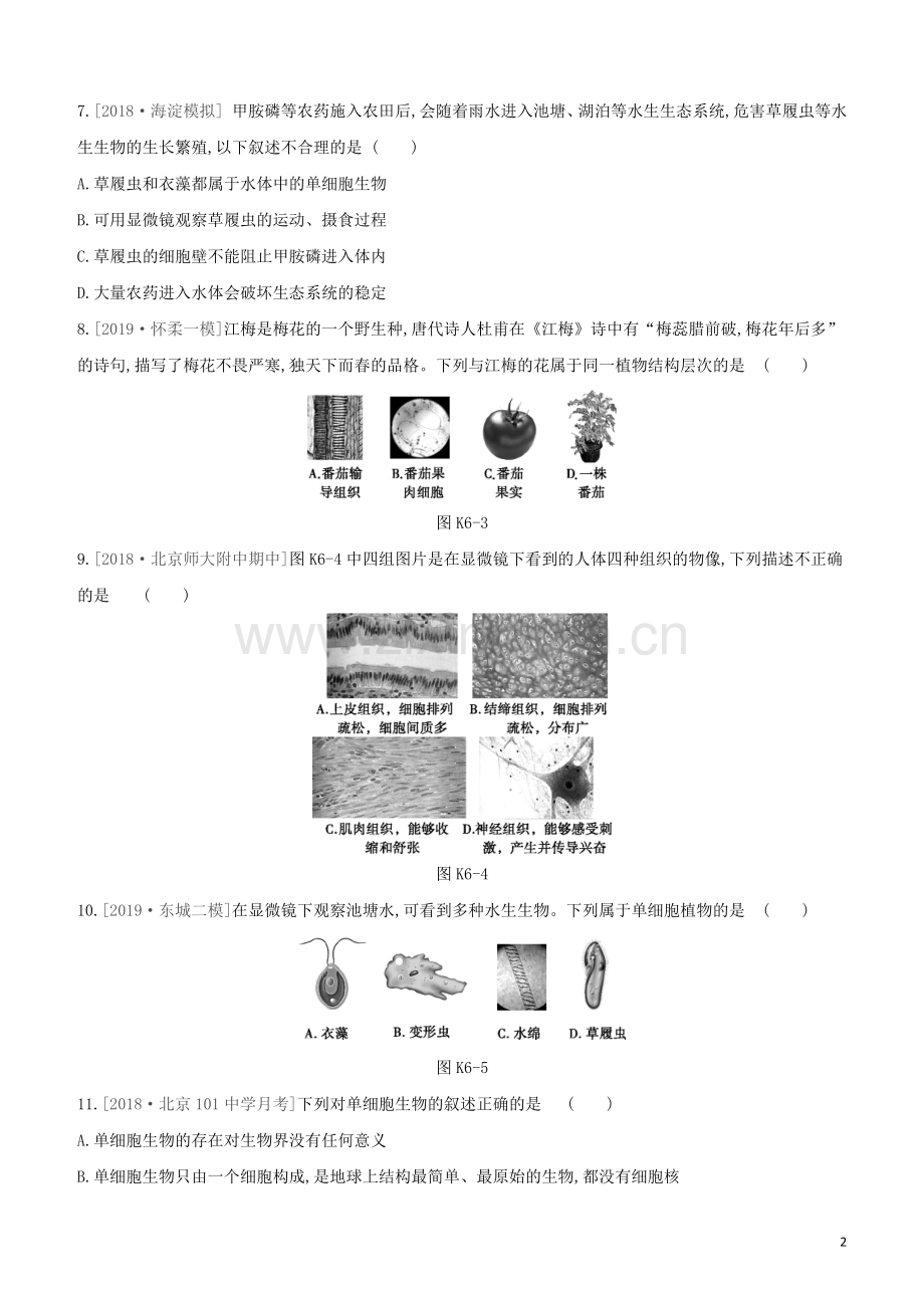 北京专版2020中考生物复习方案主题三生物体的结构层次课时训练06生物体的结构层次试题.docx_第2页