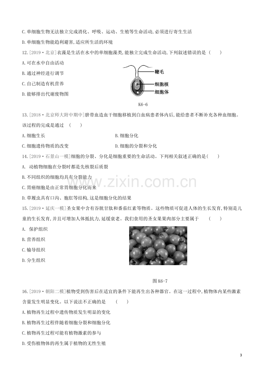 北京专版2020中考生物复习方案主题三生物体的结构层次课时训练06生物体的结构层次试题.docx_第3页