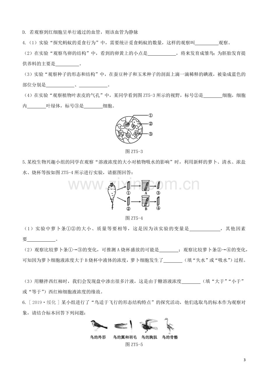 徐州专版2020中考生物复习方案专题提升05实验专题试题.docx_第3页