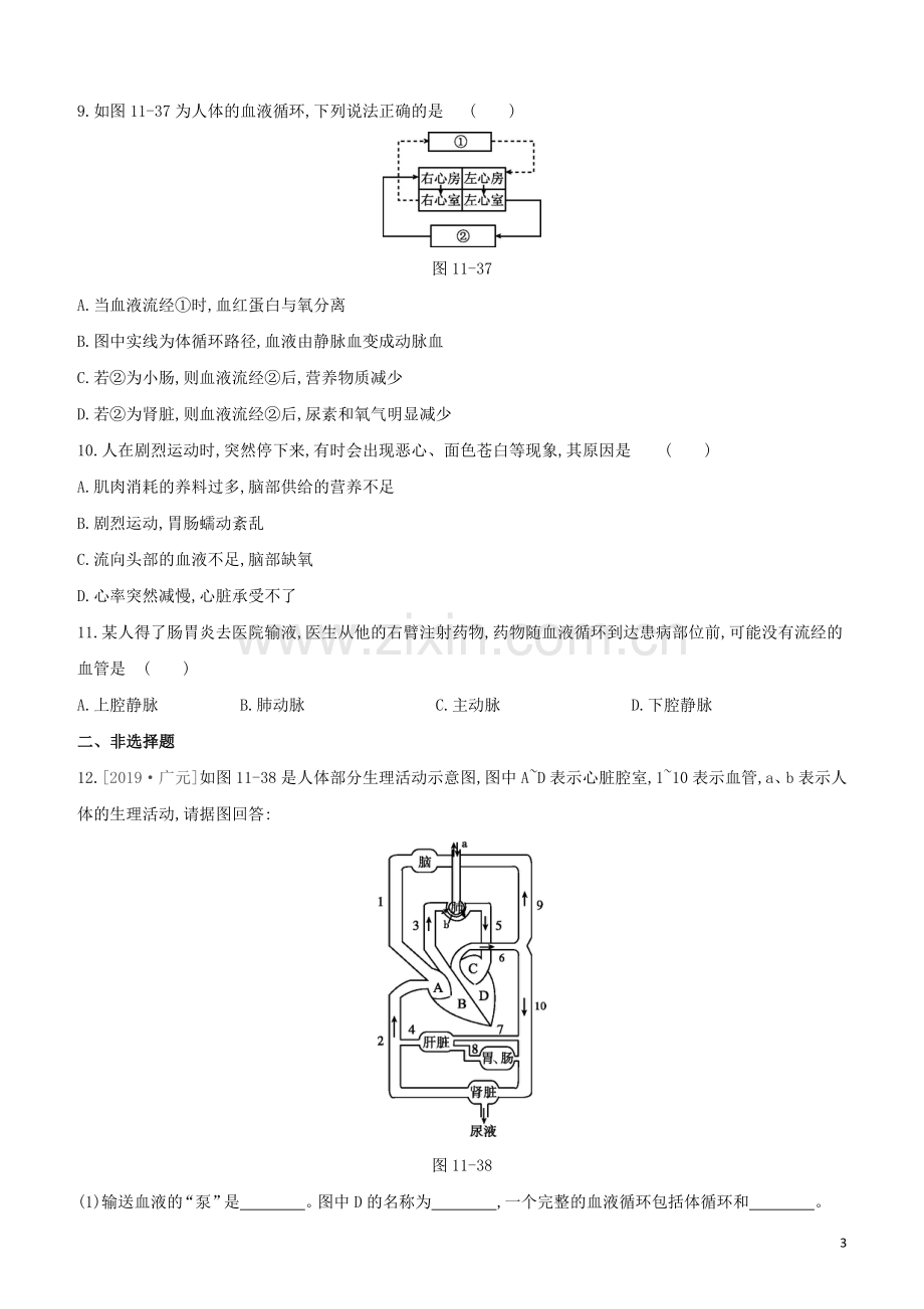 包头专版2020中考生物复习方案第四单元生物圈中的人第11课时人体内物质的运输试题.docx_第3页