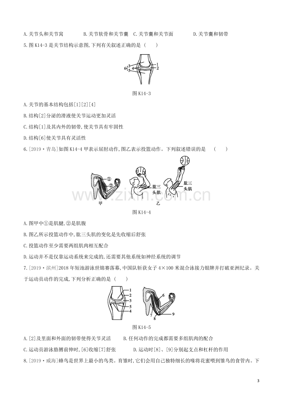 连云港专版2020中考生物复习方案第六单元生命活动的调节和生态系统的稳定课时训练14动物的运动和行为试题.docx_第3页