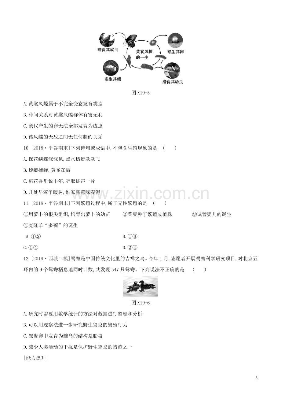 北京专版2020中考生物复习方案主题六动物的运动和行为课时训练19动植物的生殖和发育试题.docx_第3页