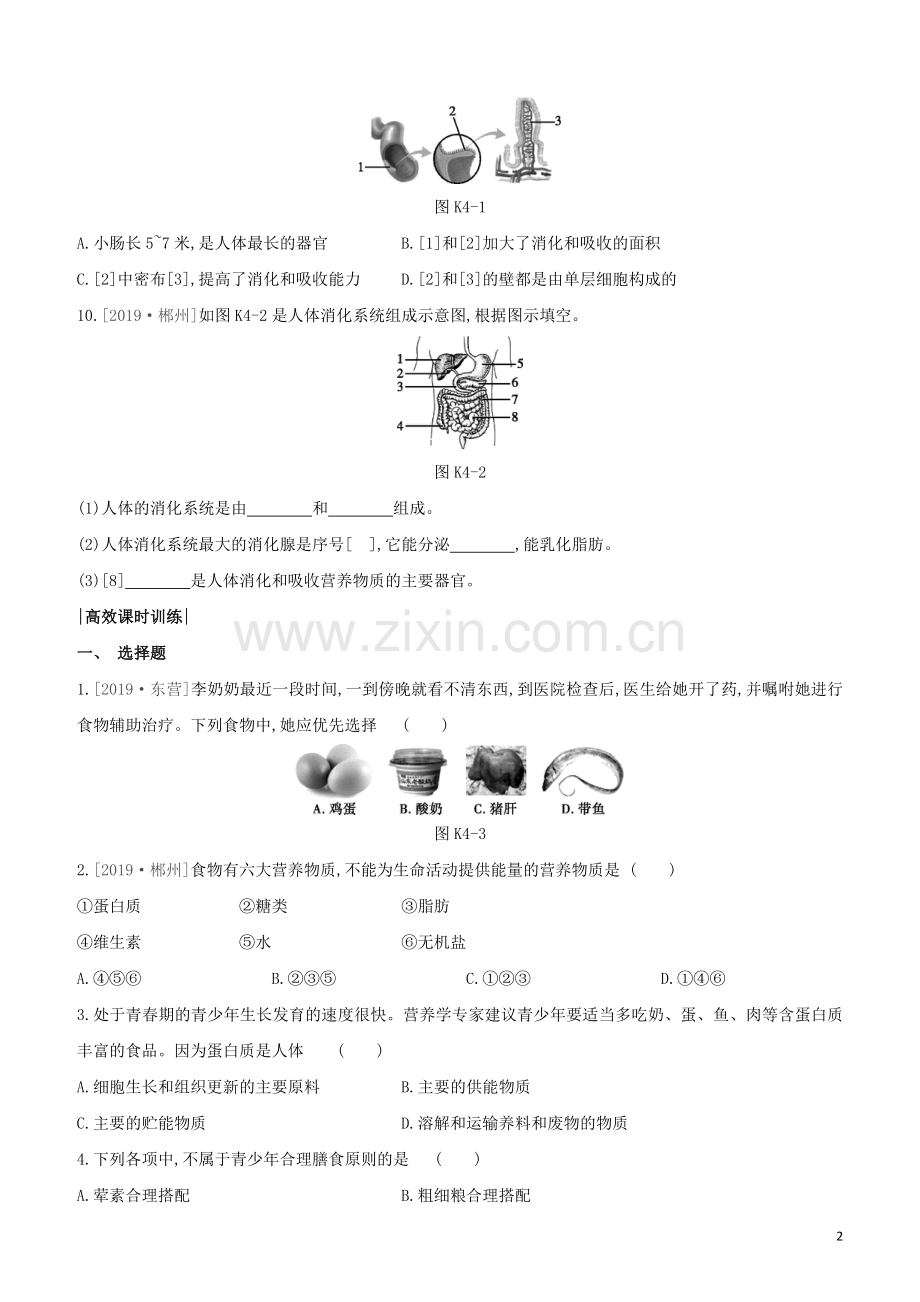 连云港专版2020中考生物复习方案第3单元生物从环境中获取物质和能量课时训练04人体的物质和能量来源于食物试题.docx_第2页