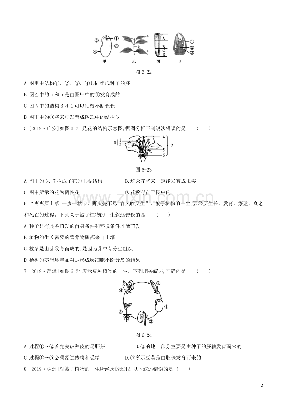 包头专版2020中考生物复习方案第三单元生物圈中的绿色植物第06课时被子植物的一生试题.docx_第2页