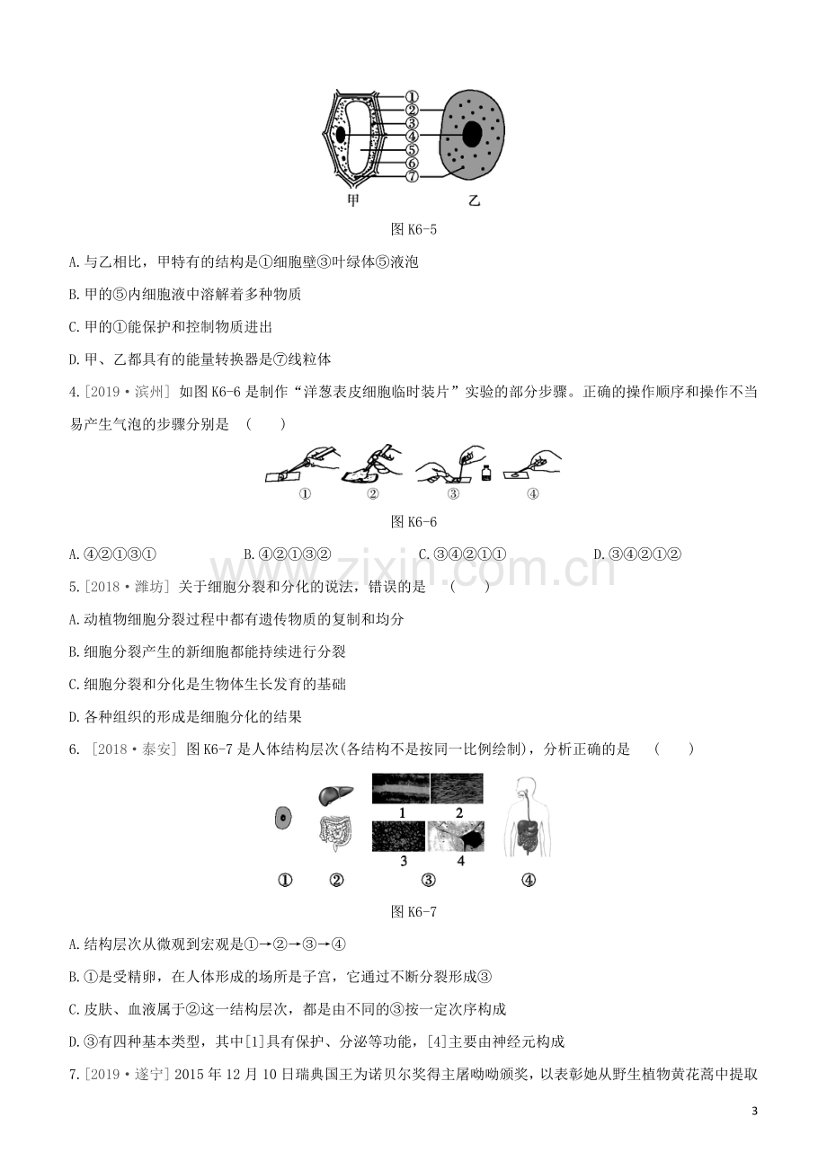 徐州专版2020中考生物复习方案第四单元环境中生物的统一性课时训练06生物体有相同的基本结构和相似的结构层次试题.docx_第3页