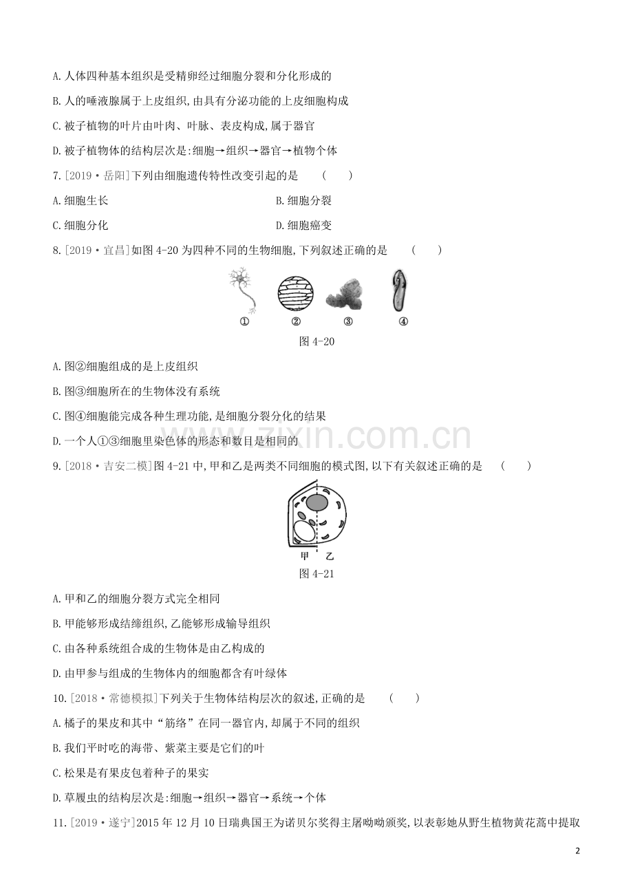 鄂尔多斯专版2020中考生物复习方案第二单元生物体的结构层次第04课时细胞怎样构成生物体试题.docx_第2页