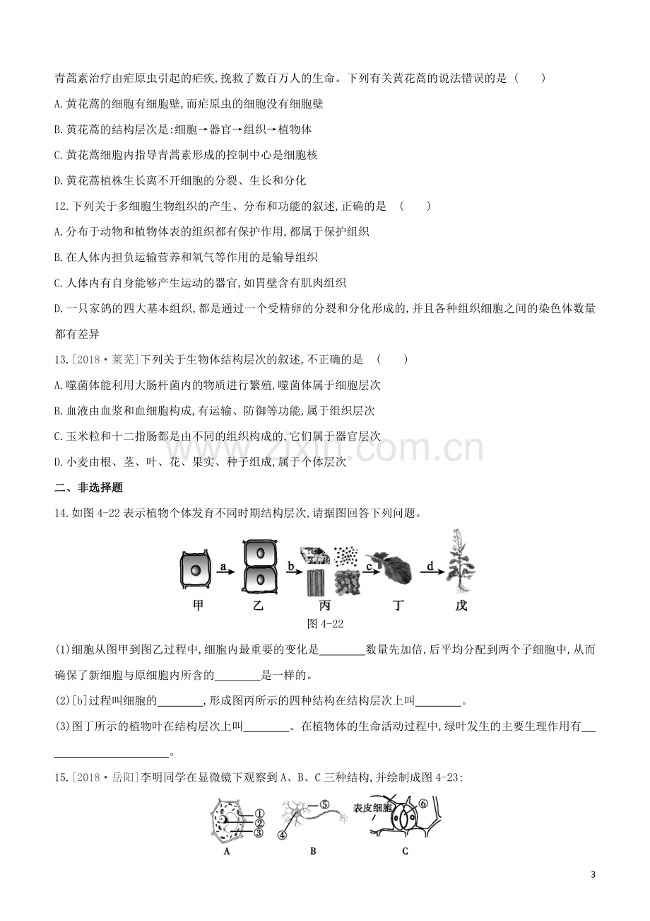 鄂尔多斯专版2020中考生物复习方案第二单元生物体的结构层次第04课时细胞怎样构成生物体试题.docx_第3页