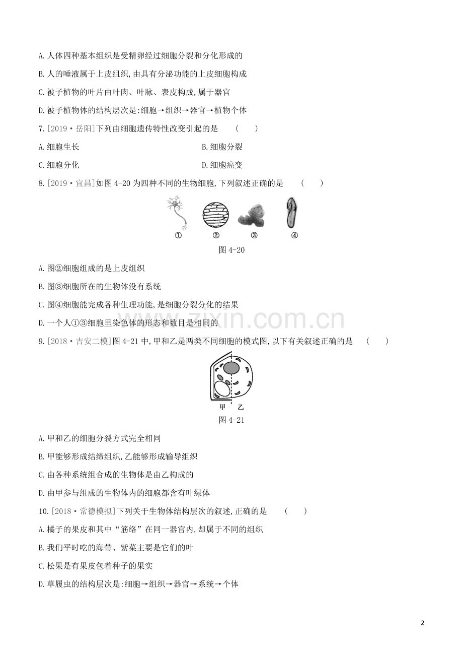 包头专版2020中考生物复习方案第二单元生物体的结构层次第04课时细胞怎样构成生物体试题.docx_第2页