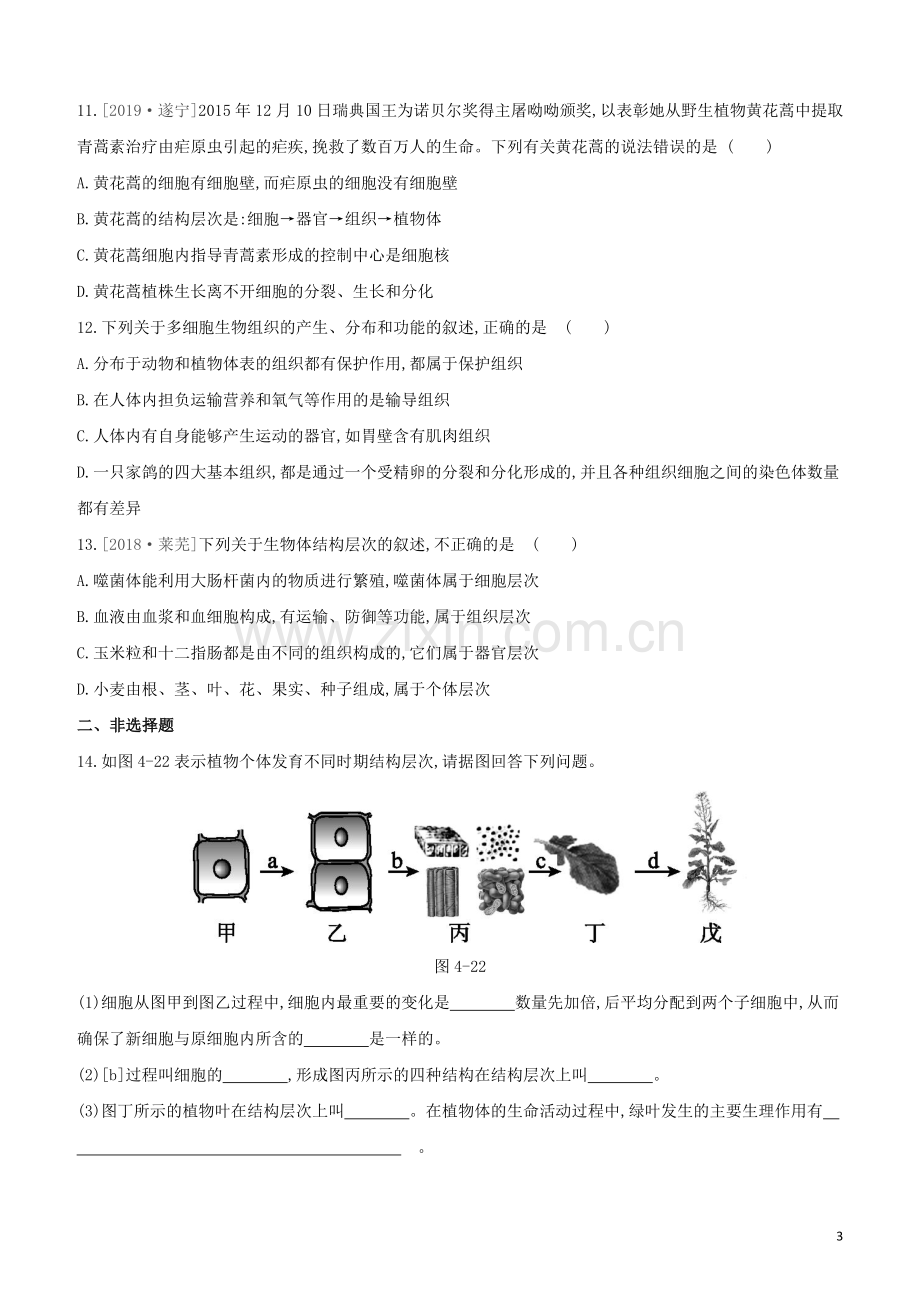 包头专版2020中考生物复习方案第二单元生物体的结构层次第04课时细胞怎样构成生物体试题.docx_第3页