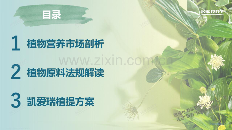 2024年探索植物营养新潜能白皮书.pdf_第2页