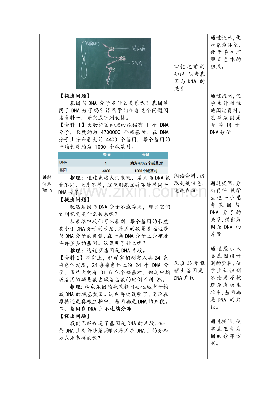 （讲解技能）基因与DNA分子的关系-教学设计.doc_第3页