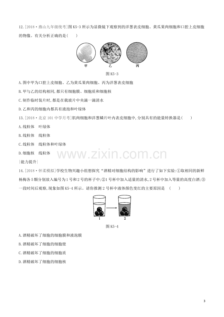 北京专版2020中考生物复习方案主题三生物体的结构层次课时训练05细胞的结构和生活试题.docx_第3页