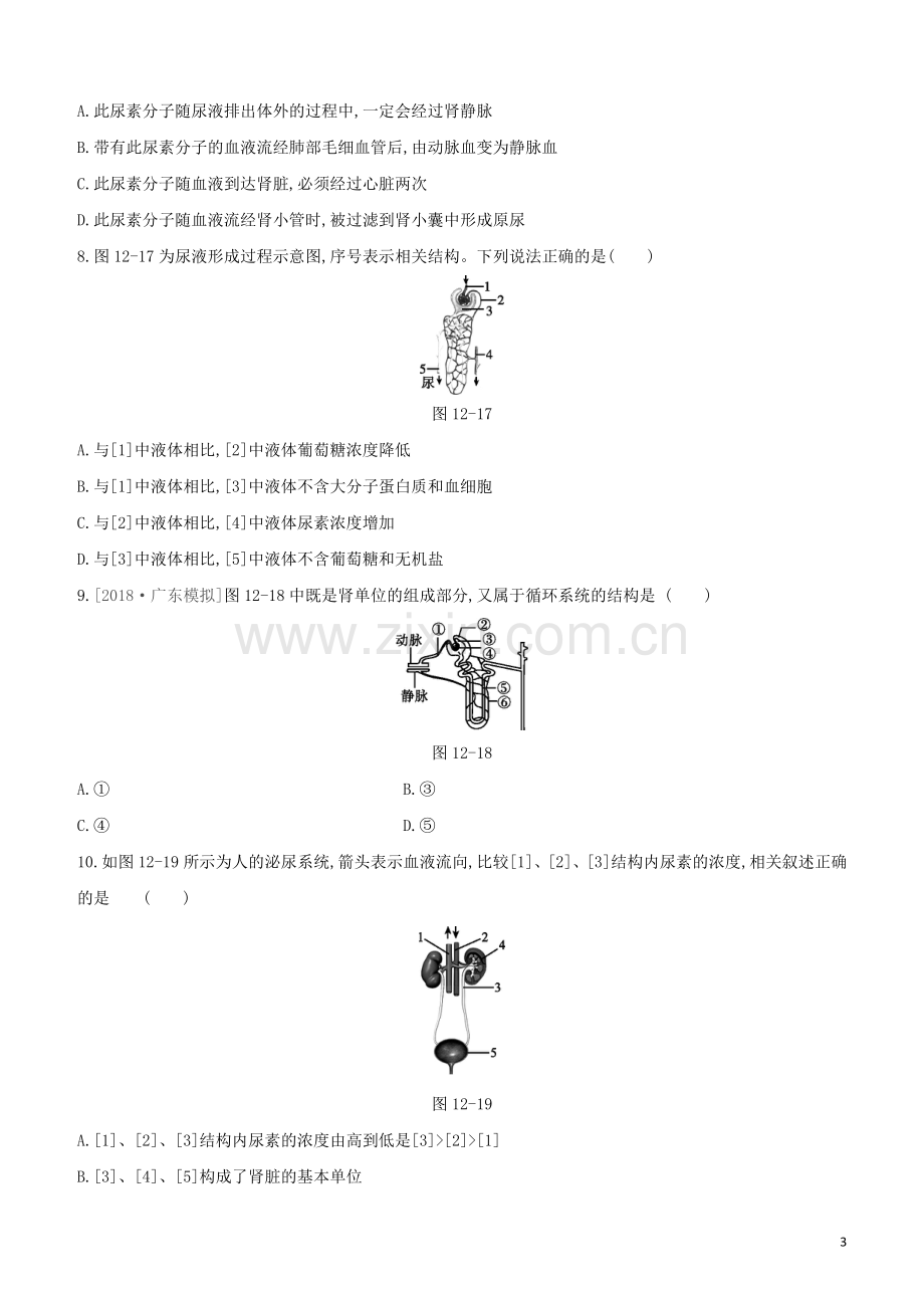 包头专版2020中考生物复习方案第四单元生物圈中的人第12课时人体内废物的排出试题.docx_第3页