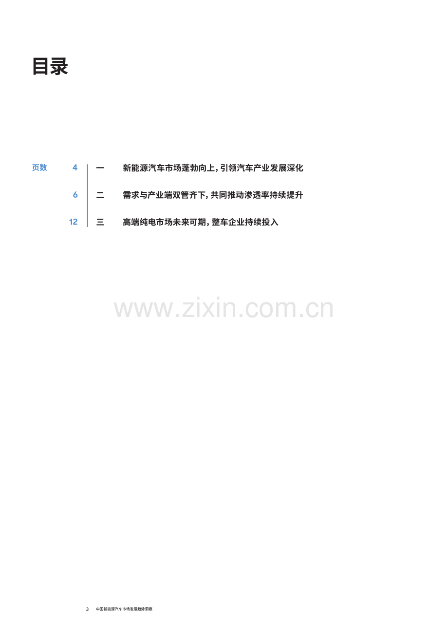 2024年中国新能源汽车市场机遇与挑战并存.pdf_第3页