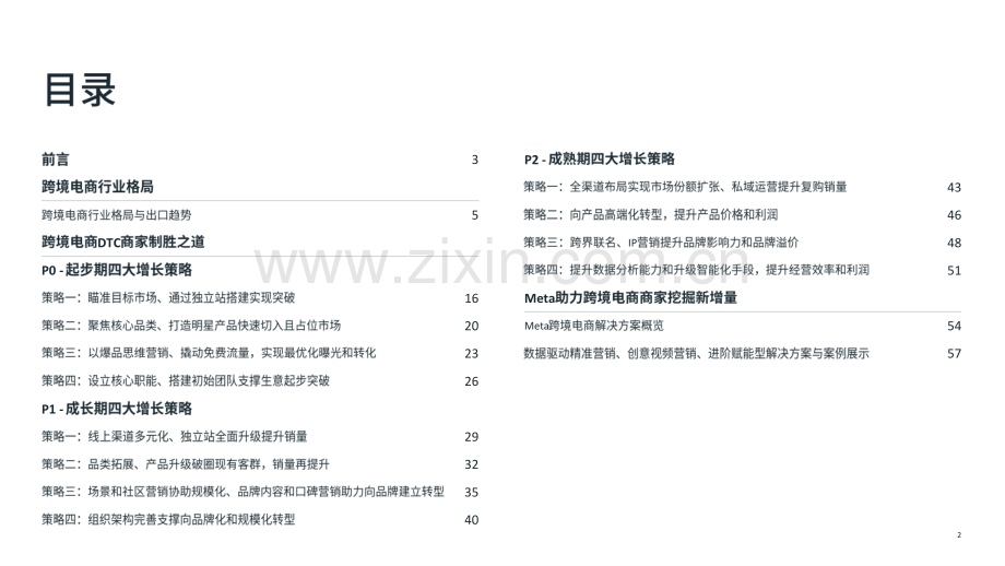 2024年跨境电商DTC全阶段增长策略白皮书.pdf_第2页