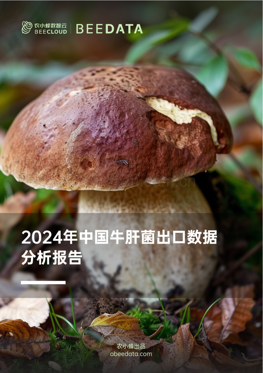 2024年中国牛肝菌出口数据分析报告.pdf_第1页