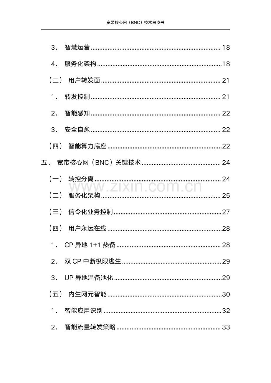 2024年宽带网络核心网（BNC）技术白皮书.pdf_第3页