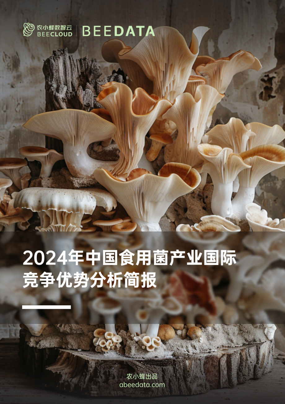 2024年中国食用菌产业国际竞争优势分析简报.pdf_第1页