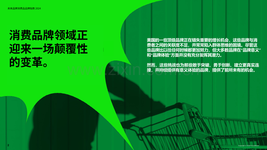 2024未来品牌消费品品牌指数报告.pdf_第2页