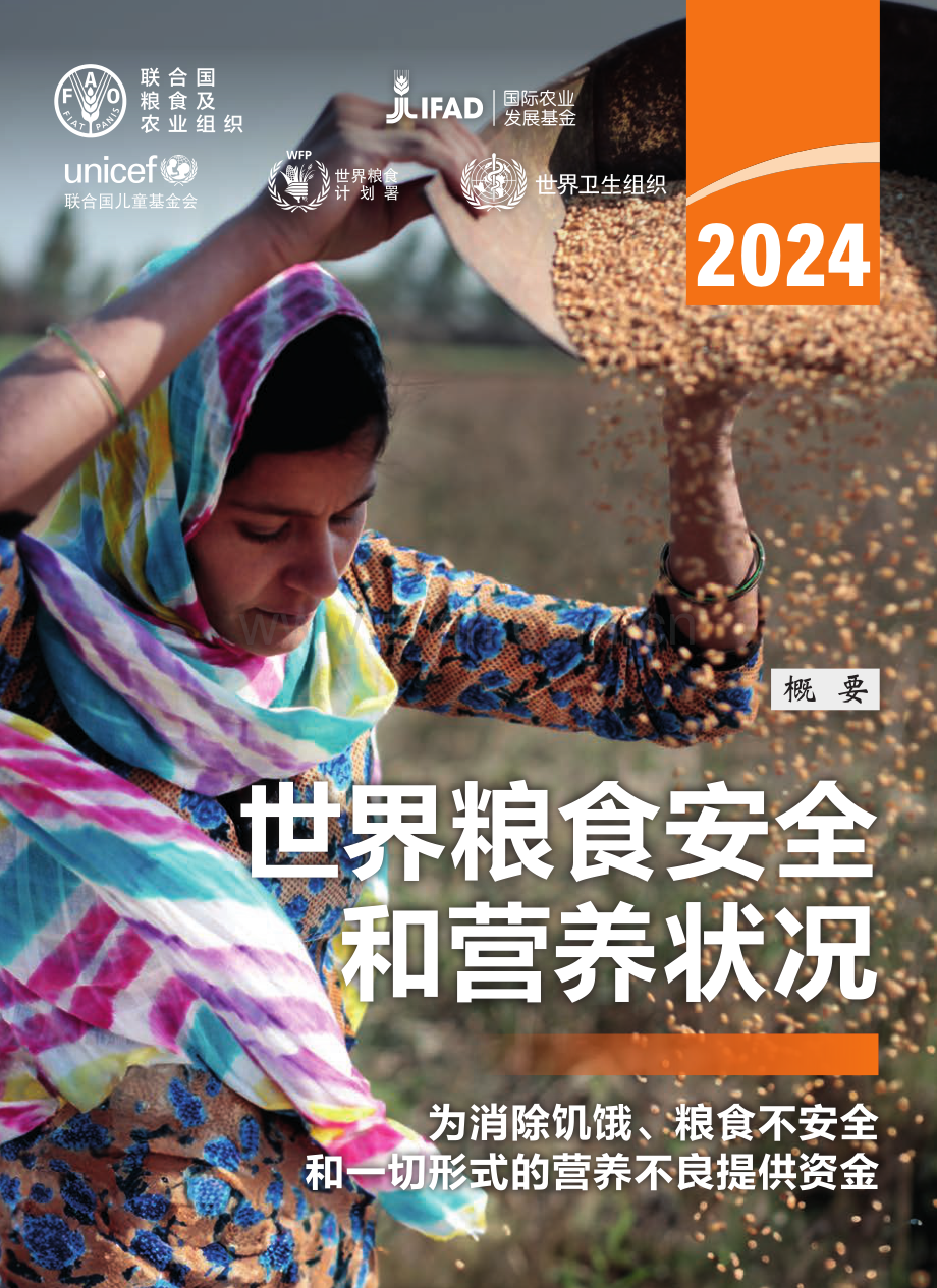 2024年世界粮食安全和营养状况.pdf_第1页