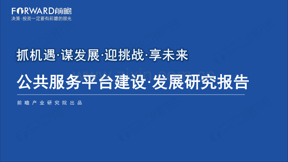 2024年公共服务平台建设发展研究报告.pdf_第1页