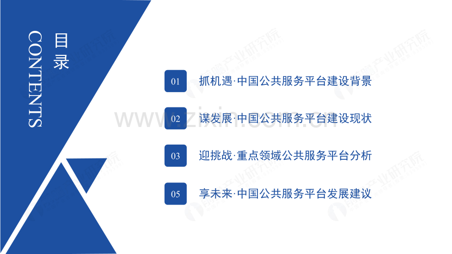 2024年公共服务平台建设发展研究报告.pdf_第2页