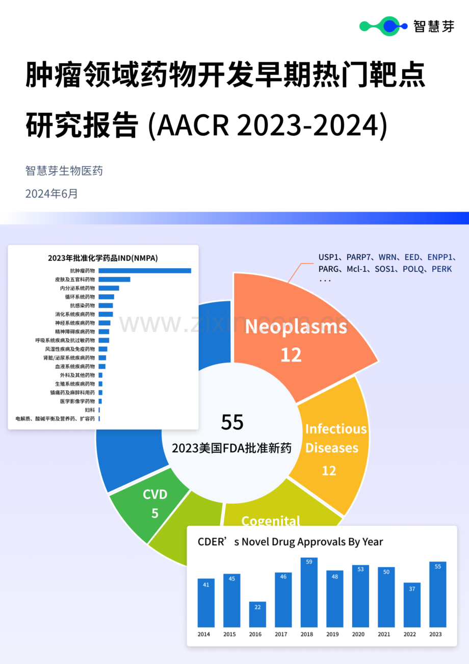 2023-2024肿瘤领域药物开发早期热门靶点研究报告.pdf_第1页