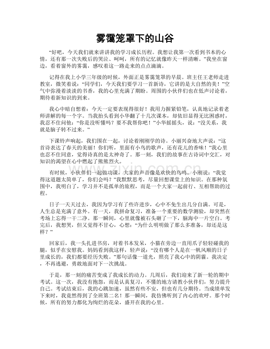 雾霭笼罩下的山谷.doc_第1页