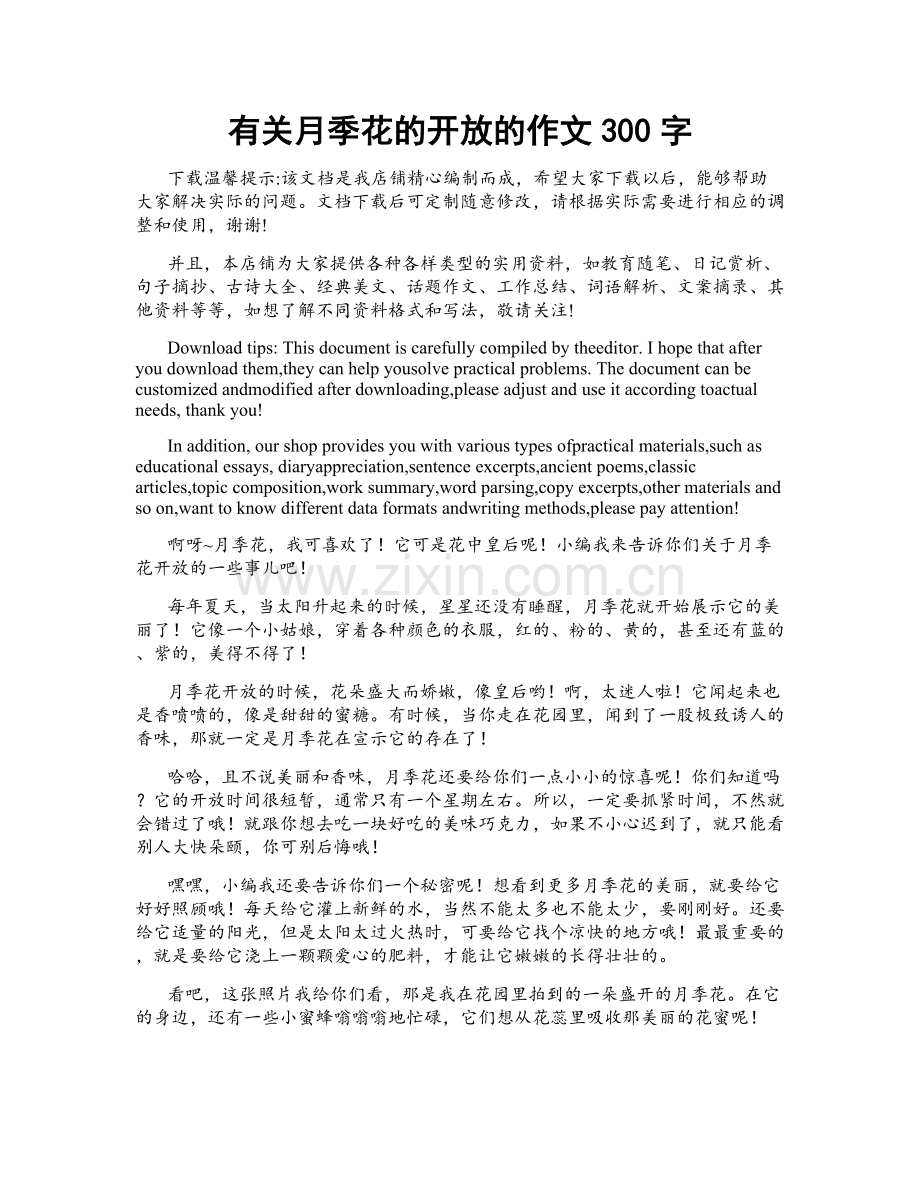 有关月季花的开放的作文300字.docx_第1页