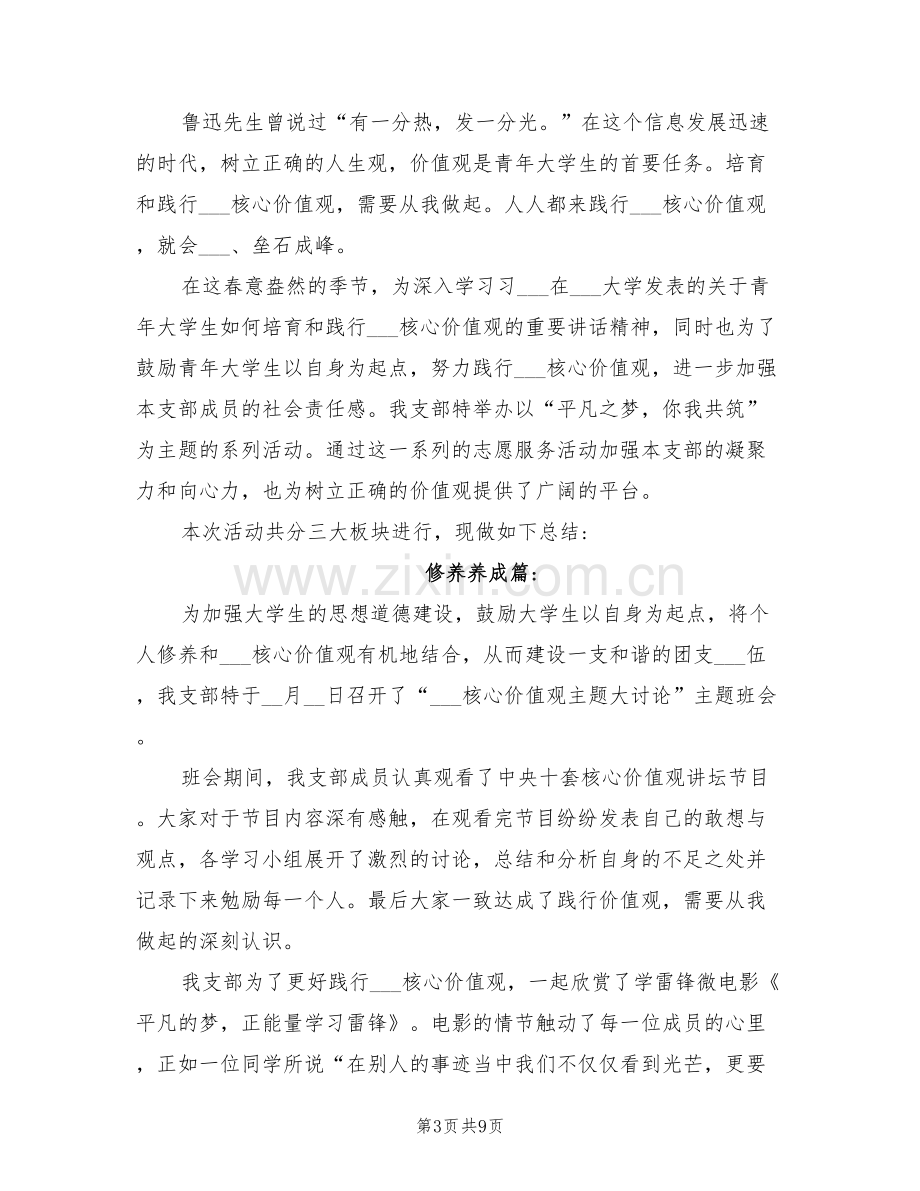 2022年社会主义核心价值观实践活动工作总结.doc_第3页