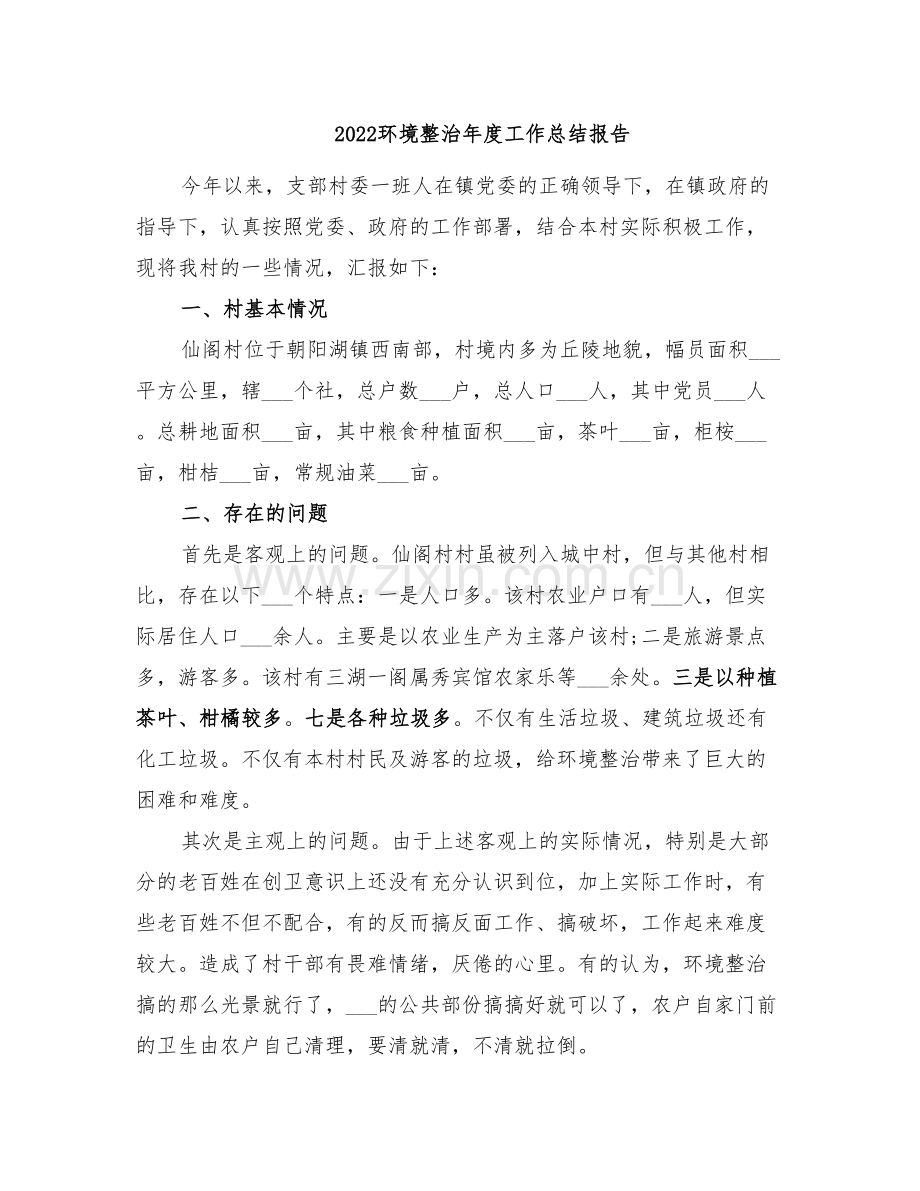 2022环境整治年度工作总结报告.doc_第1页