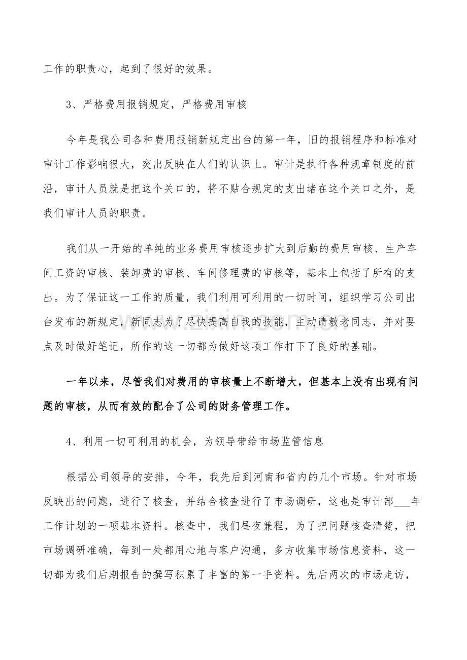 2022年企业审计年终总结范文.doc_第3页