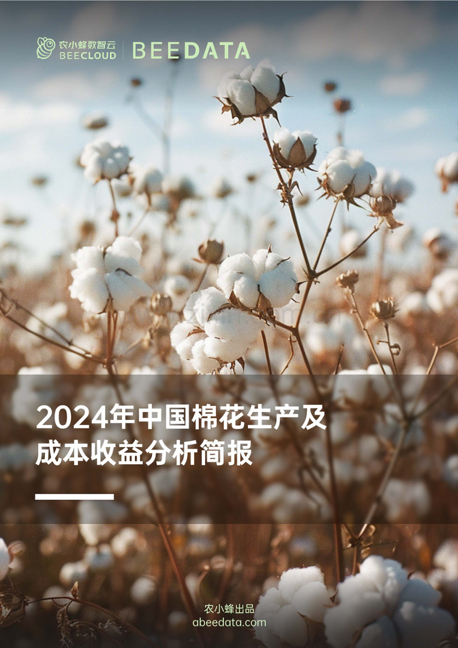 2024年中国棉花生产及成本收益分析简报.pdf_第1页